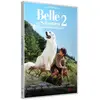 Image de Belle et Sébastien 2 L'aventure continue DVD