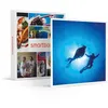 Image de Baptême de plongée en piscine ou sous-marine - SMARTBOX - Coffret Cadeau Sport & Aventure