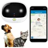 Image de Traceur GPS 4G pour Animaux Chien Chat avec App de Suivi Android et iOS Or YONIS