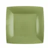 Image de 10 ASSIETTES CARTON BIO CARRÃES 18CM VERT OLIVE