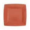 Image de 10 ASSIETTES CARTON BIO CARRÉES 23CM ROUGE BRIQUE