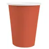 Image de 10 GOBELETS CARTON BIO 25CL ROUGE BRIQUE