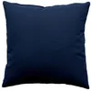 Image de Coussin DÃ©houssable Uni En Coton