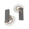Image de Charbons Moteur (X2) Pour Lave Linge Bosch