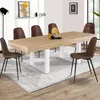 Image de IDMarket Table à manger extensible PHOENIX 6-10 personnes bois et blanc 160-200 cm