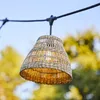 Image de Guirlande Lumineuse Raccordable Herbe Marine Beige 6m