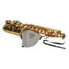 Image de Ecouvillon Saxophone Alto Microfibre Bg A30