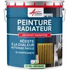 Image de Peinture Radiateur - Fonte acier alu chauffage toutes couleurs PEINTURE RADIATEUR Ral 6019 Vert Blanc Kit 1 Kg jusqu'a 5mÂ² pour 2 couches