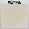 Image de Peinture argile naturelle decoration chambre enfant ARGILIS Mesange - grege kit 15 mÂ² - 2.5 kg
