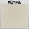 Image de Peinture argile naturelle decoration chambre enfant ARGILIS Mesange - grege kit 60 mÂ² - 2x5 kg