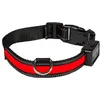 Image de Eyenimal Collier Lumineux Light Collar Usb Rechargeable M - Rouge - Pour Chien