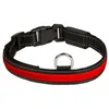 Image de Eyenimal Rgb Collier Lumineux - Taille M - Pour Chien