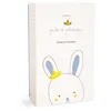 Image de Lapin matelot Doudou et Compagnie Pantin Poudre de perlidou DC3517