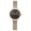 Image de Montre Pierre Lannier 014j938