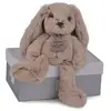 Image de Lapin Histoire d'Ours Copains Calins Beige 25 cm