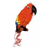 Image de Pinata Perroquet