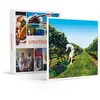 Image de À la découverte de nos vignobles - SMARTBOX - Coffret Cadeau Gastronomie