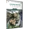 Image de Algunas Bestias DVD