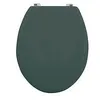 Image de MSV Abattant WC MDF CL?O Vert Fonc? Mat - Charni?res en Inox