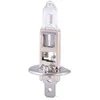 Image de OC-PRO 5 AMPOULES H1 12 VOLTS 55 WATTS PHARES ET ANTI-BROUILLARDS AVANT