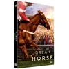 Image de Dream Horse DVD