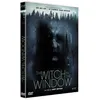 Image de The Witch In The Window DVD