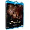 Image de Mandingo Blu-ray