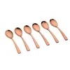 Image de Coffret 6 Petites CuillÃ¨res Oglu - Copper