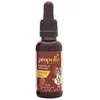 Image de Propolis Intense Teinture MÃ¨re 30 Ml Propolia Bio