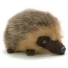 Image de Peluche HÃ©risson 14 Cm - RÃ©f: 1618