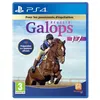 Image de Réussir : Galops 1 à 7 PS4