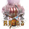 Image de Iello Raids