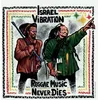 Image de Reggae Music Never Dies - Vinyle 33 Tours