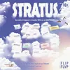 Image de Jeu d'enquête Flip flap Stratus