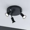 Image de Paulmann Carolina Spot Pour Plafond, 3 Lampes Ip44