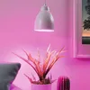 Image de Paulmann Neordic Hilla Suspension, Blanche