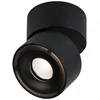 Image de Paulmann Spircle Spot En Saillie Led Noir Mat