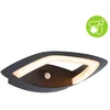 Image de Paulmann Applique D'extérieur Led Akena Détecteur De Mouvement Crépusculaire (Ir) Favorable Aux Insectes Ip44 243x254mm 2200k 10,8w 800lm 230v Anthracite Aluminium