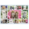 Image de Puzzle Schmidt - Chaton, 100 pièces