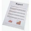 Image de Esselte 56218 boîte de 100 chemise coin a4 - transparent