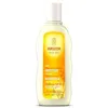 Image de Shampooing RÃ©gÃ©nÃ©rant Ã L'avoine Weleda 190 Ml