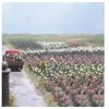 Image de Roses BUSCH 1205 H0