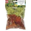 Image de ModÃ©lisme : VÃ©gÃ©tation - Lichen 2 Couleurs-Busch