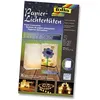 Image de Folia lanternes Lot de 5 19 x 11,5 x 7 cm blanches