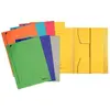 Image de Leitz chemise-trieur, format a4, carton robuste coloré 320 3924-00-01