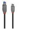 Image de Lindy Anthra Line - Câble USB - USB-C (M) pour USB Type B (M) - USB 3.2 Gen 1 - 1 m - rond bi-directionnel - noir