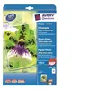 Image de Avery Zweckform Premium Photo Paper 2559-20 - papier photographique mat - 20 feuille(s)