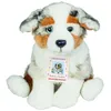 Image de Australian Shepherd Welpe, Ca. 22cm