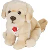 Image de Hermann Teddy Knuffel Golden Retriever Zittend - 25 Cm