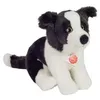 Image de Border Collie Welpe Sitzend, Ca. 25 Cm